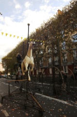 Les Echappes du carrousel 1 * 5184 x 3456 * (6.47MB)
